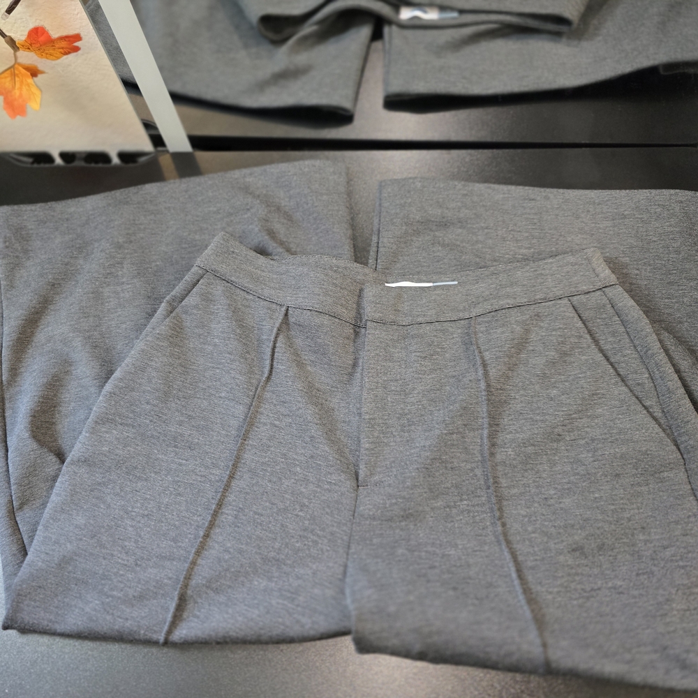 Gray Pleated Pants